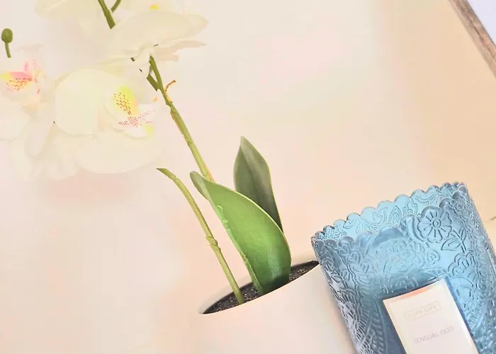 - Proche Aeroport - Privees